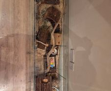 hamster enclosure