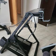 Racing Wheel Standing