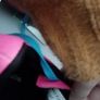 football boots Image 4