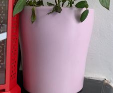 Pink ceramic flowerpot