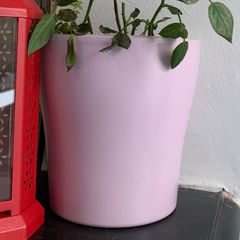 Pink ceramic flowerpot