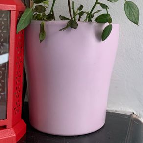 Pink ceramic flowerpot