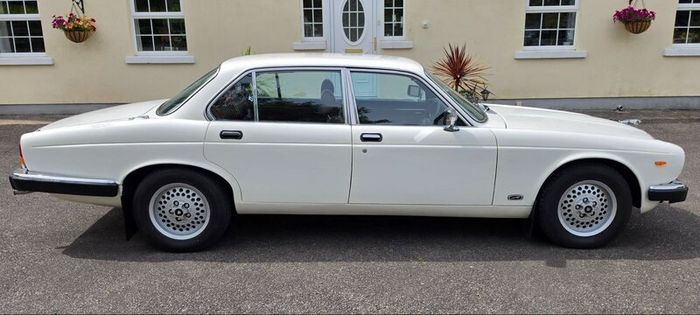 Jaguar XJ 1980 (Perfect wedding car)