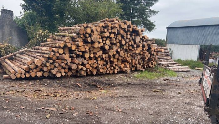 Kiln dried firewood