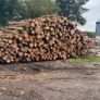Kiln dried firewood Image 4