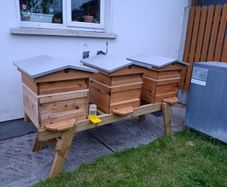 Looking for a small spot for 3 beehives (Waterford, Wexford, Tipperary)
