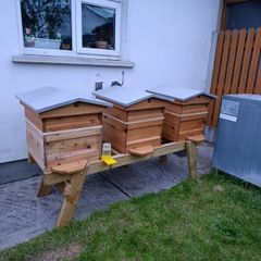 Looking for a small spot for 3 beehives (Waterford, Wexford, Tipperary)