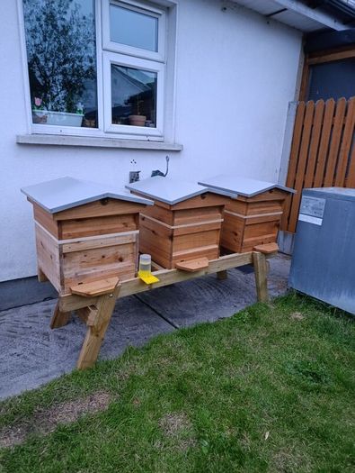 Looking for a small spot for 3 beehives (Waterford, Wexford, Tipperary)