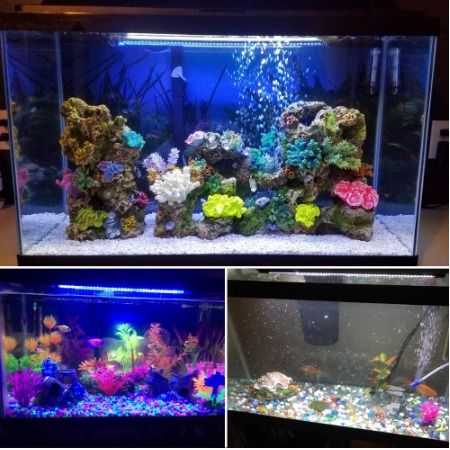 Fish Tank Light