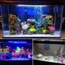 Fish Tank Light Image 8