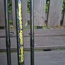 carp pike fishing rods x3 Image 5