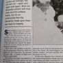 New hardback book animals antics Image 6