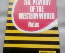 The Playboy of the Western World - old  school book notes guide