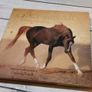 Grace And Beauty A Study Of The Horse Gabrielle Boiselle Large Hardback Book VGC Image 3