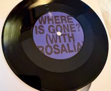 Fontaines DC With Rosalia - Where Is Gone? - Limited Edition 7" Vinyl Single