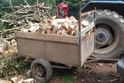 firewood for sale