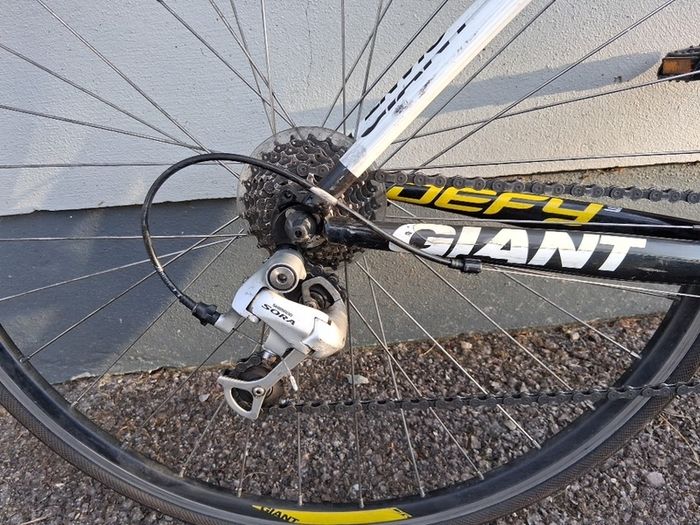 Giant Defy