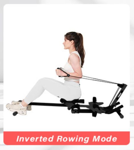 Rowing Machine, Ab Workout, Biceps Curls 3 in 1