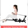 Rowing Machine, Ab Workout, Biceps Curls 3 in 1 Image 2