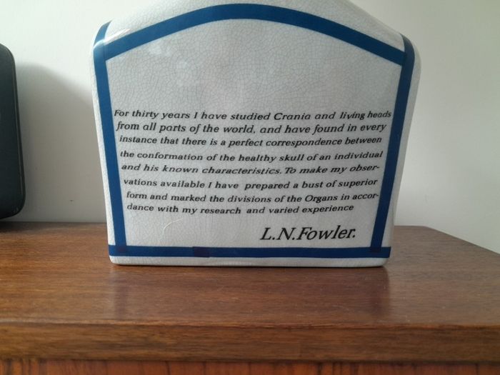 L.N. Fowler Phrenology Head 40cm