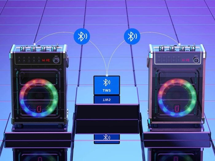 Karaoke Machine with 2 UHF Wireless Microphones, Bluetooth Speaker with Bass/Treble Adjustment and LED Light, PA System Support TWS, AUX in, FM, REC, Supply for Party/Adults/Kids MULTIPLE COLOURS AVAILABLE (FREE POSTAGE)