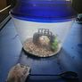 Fish tank Image 2