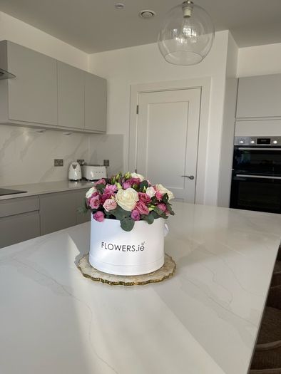 Calacatta Gold Quartz Modern Kitchen