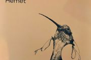Niamh Regan Hemet lp