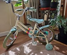 bike 14