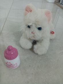 Kitty Almost Real