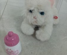 Kitty Almost Real