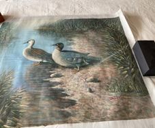 Duck Scene Canvas Painting by Justus