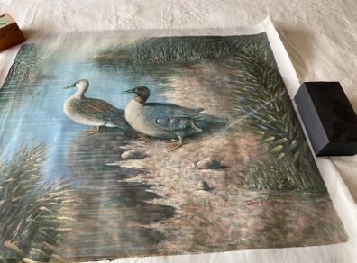 Duck Scene Canvas Painting by Justus