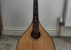 Octave Mandola and Gig Bag