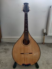 Octave Mandola and Gig Bag