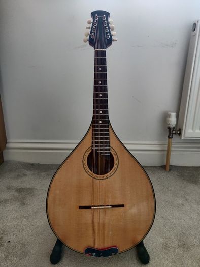 Octave Mandola and Gig Bag