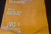 Miss shiva,dreams 12" vinyl