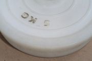 Pallini 5kg Bumper plates