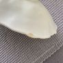 Antique China Royal Winton Image 7
