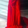 long dress Image 6