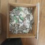 Mosaics or Crafting pieces Image 7