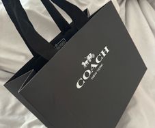 Coach Perspex and leather bag