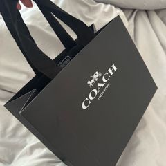 Coach Perspex and leather bag