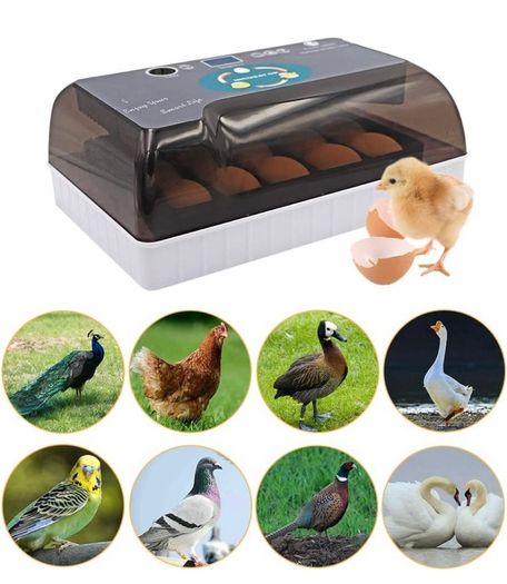 Egg Incubator Automatic Digital Fully Automatic Hatcher Chicken Poultry Hatcher Egg Hatcher Incubator with Automatic Temperature Control (FREE POSTAGE)