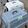 200 Series Transport Crates for Cats - IATA Pet Travel Kennels Image 3