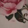 Vintage Rose Plates X 3 Image 5