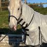 equestrian Image 2