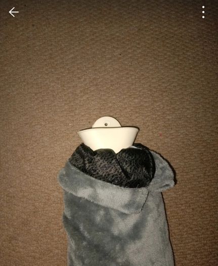 Hot Water Bottle