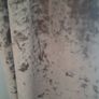 curtians 66x81 velvet ring tops Image 2