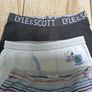 Boxers Image 2